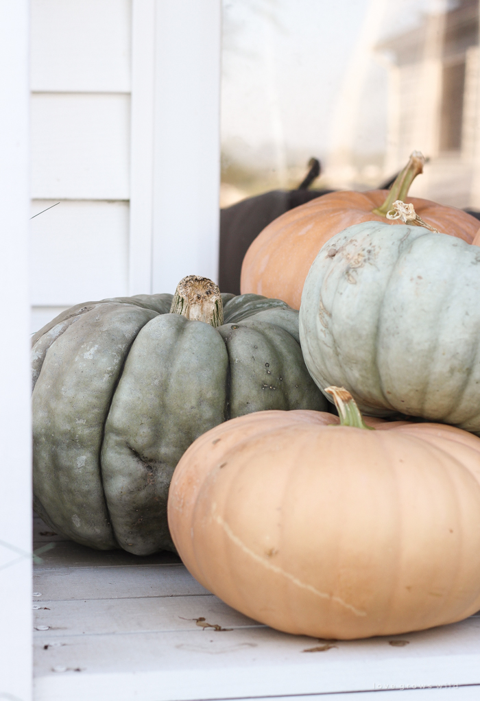 A cozy fall patio perfect for entertaining