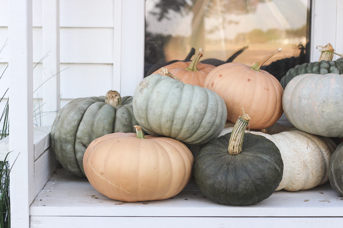 A cozy fall patio perfect for entertaining