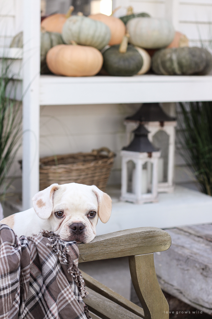 A cozy fall patio perfect for entertaining