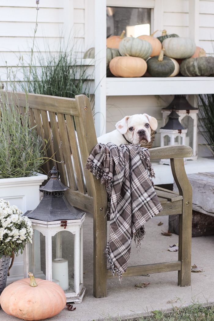 A cozy fall patio perfect for entertaining