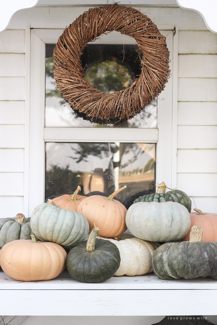 Easy Fall Decorating | Pumpkins - Love Grows Wild