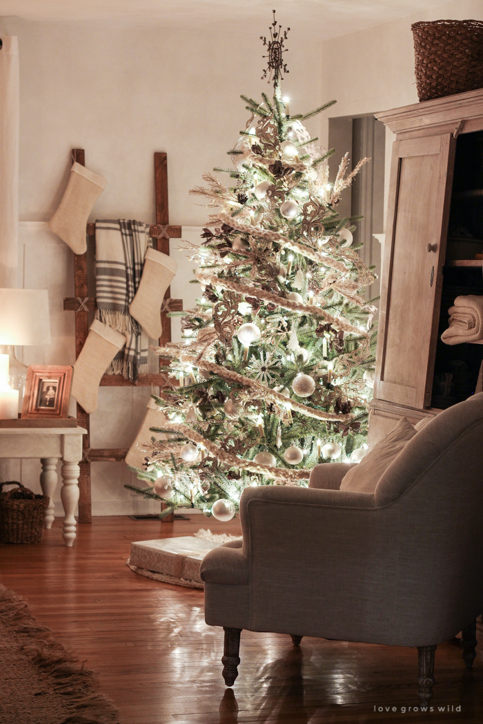 The magic and serenity of Christmas lights at night in this beautiful farmhouse