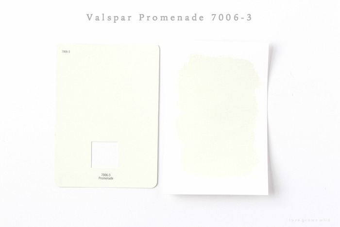 White Paint  Valspar Paint