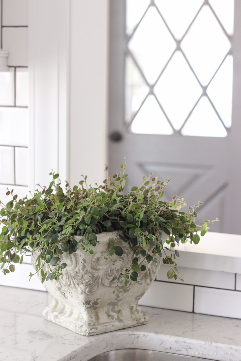 A cozy farmhouse kitchen decorated simply with elements from nature