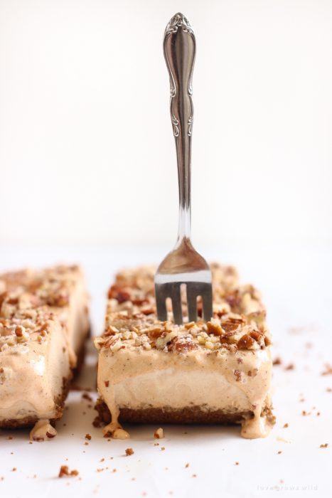 The best flavors of fall turned into a cool, sweet treat! Get the recipe for these easy Pumpkin Ice Cream Bars with a gingersnap crust and pecans sprinkled on top!