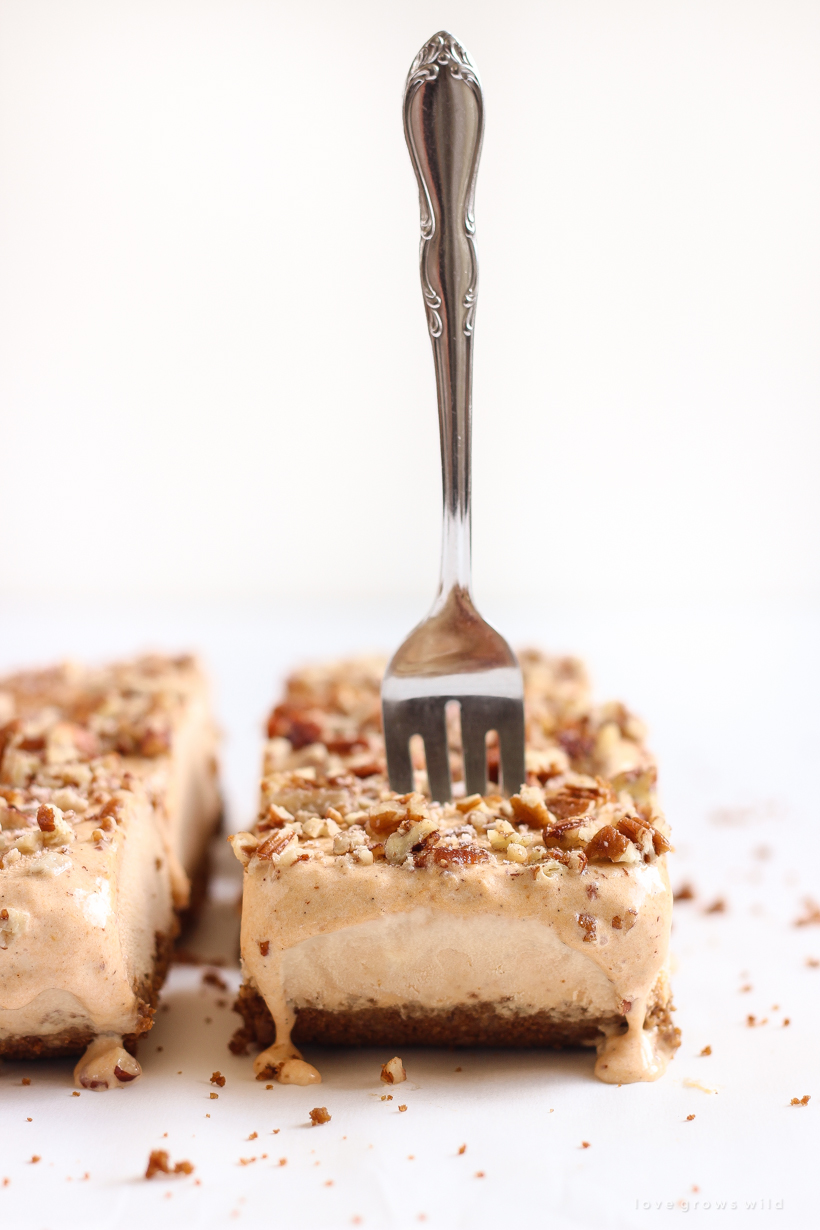 The best flavors of fall turned into a cool, sweet treat! Get the recipe for these easy Pumpkin Ice Cream Bars with a gingersnap crust and pecans sprinkled on top!
