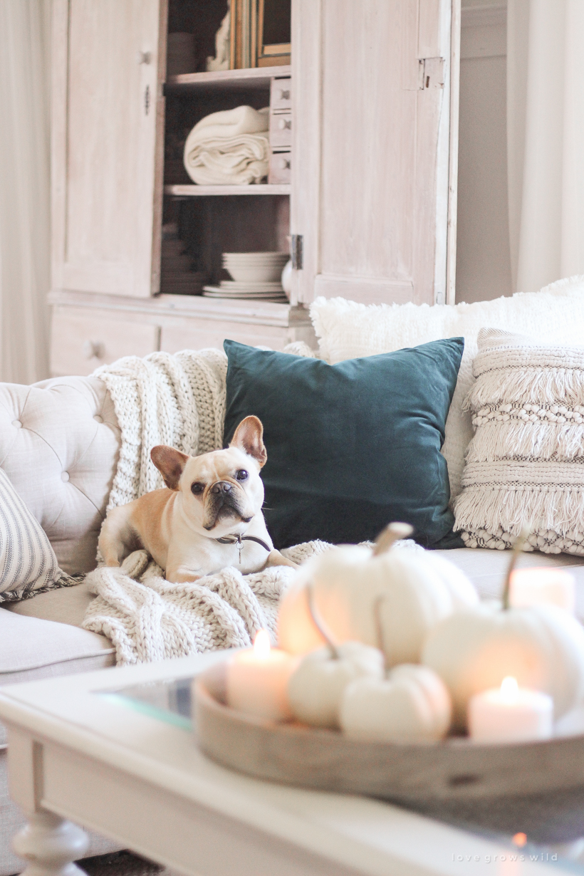 Simple touches of fall in this beautiful neutral living room