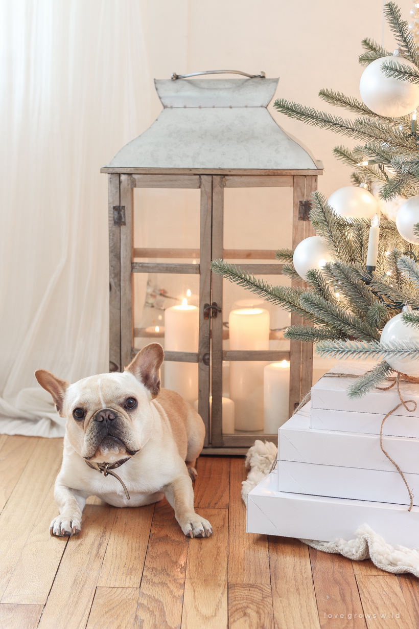 A beautiful neutral, light and bright living room decorated for Christmas