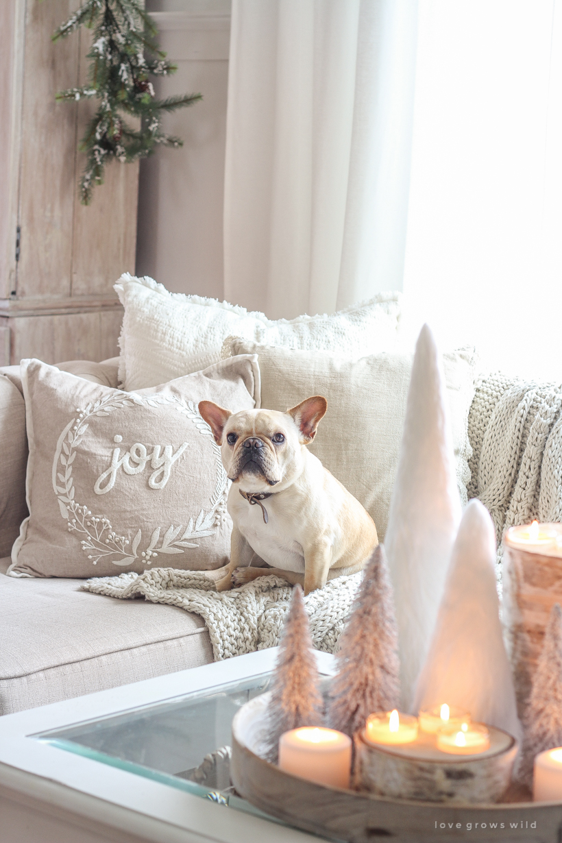 A beautiful neutral, light and bright living room decorated for Christmas