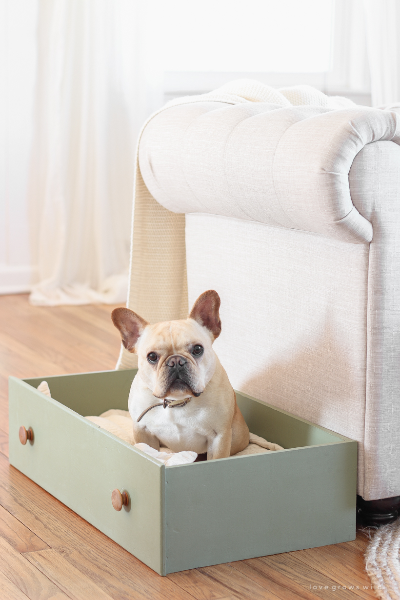 Dog bed store made from dresser