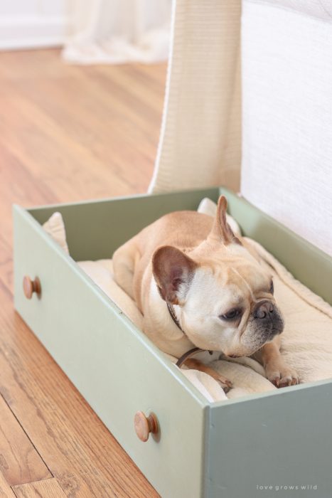 This simple and quick DIY project turns a dresser drawer into a cute, cozy dog bed that coordinates with your home!