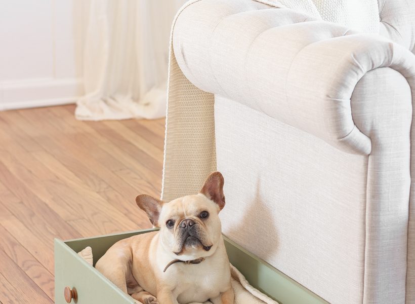 This simple and quick DIY project turns a dresser drawer into a cute, cozy dog bed that coordinates with your home!