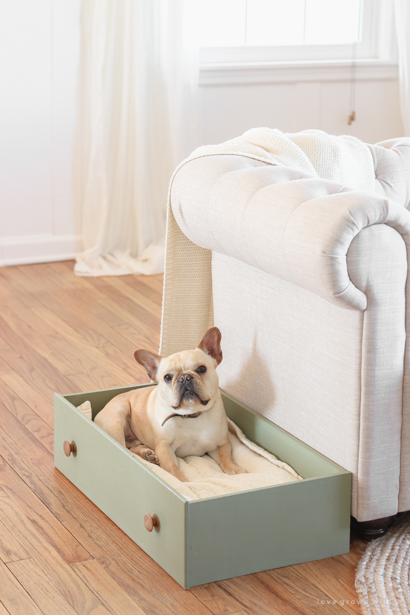 This simple and quick DIY project turns a dresser drawer into a cute, cozy dog bed that coordinates with your home!