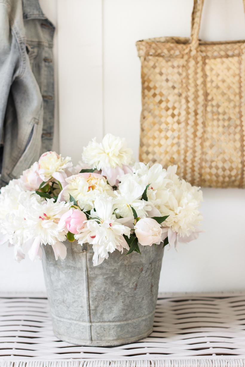 Peonies in a bucket