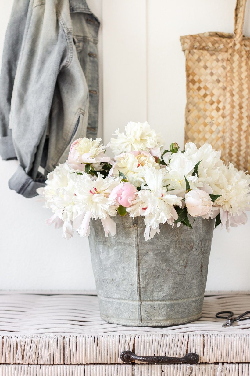 Peonies in a bucket