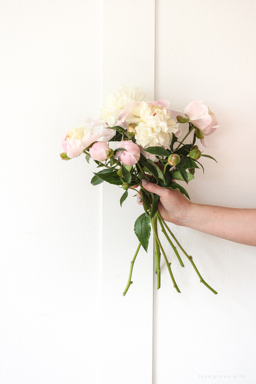 Bouquet of peonies