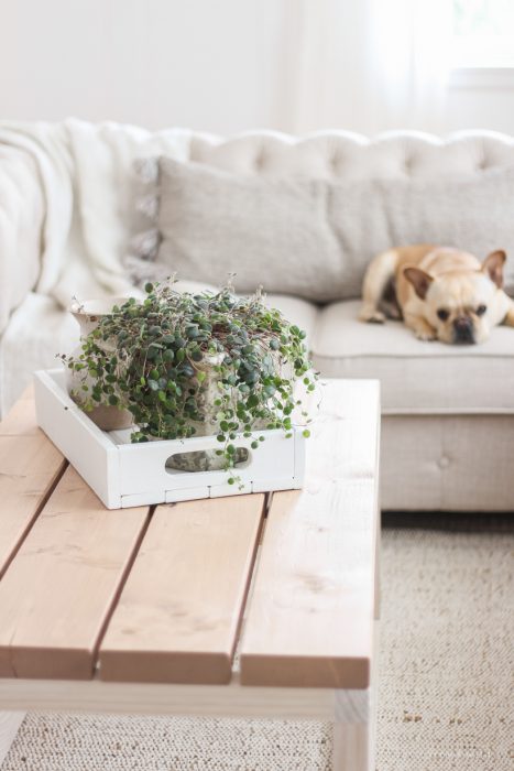 Home and lifestyle blogger Liz Fourez shares the new coffee table she built for her living room with a full tutorial and step-by-step photos. Read this blog post for more details!