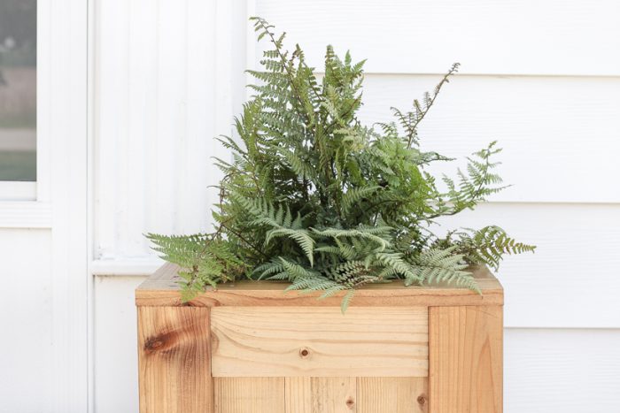 Tall Outdoor Cedar Planter DIY Building Tutorial