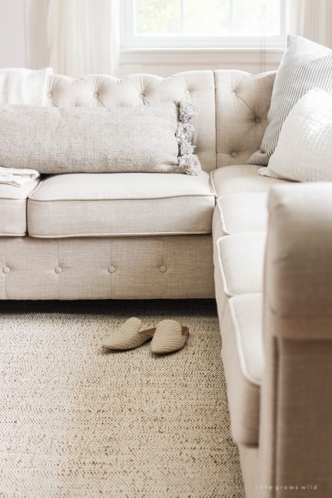The perfect rug with tons of texture and a soft, neutral color