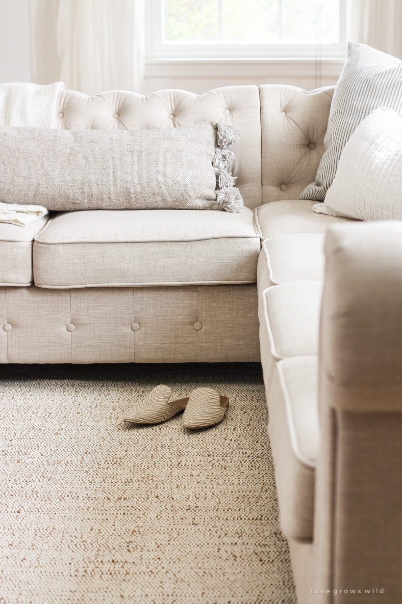 The perfect rug with tons of texture and a soft, neutral color