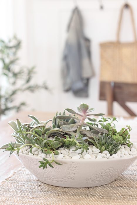 Learn how to create a stunning succulent bowl centerpiece with this easy tutorial