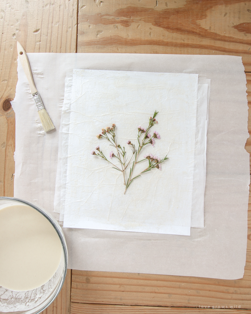 Learn how to make beautiful floral-inspired artwork on a budget with this simple Paper Mache Pressed Flower tutorial 