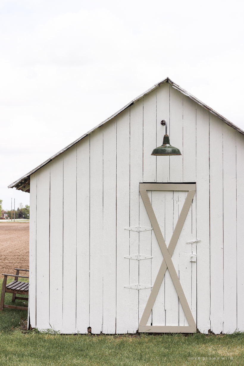 An old barn gets new life with a fresh coat of paint and some added trim details. See more of this gorgeous barn makeover at LoveGrowsWild.com