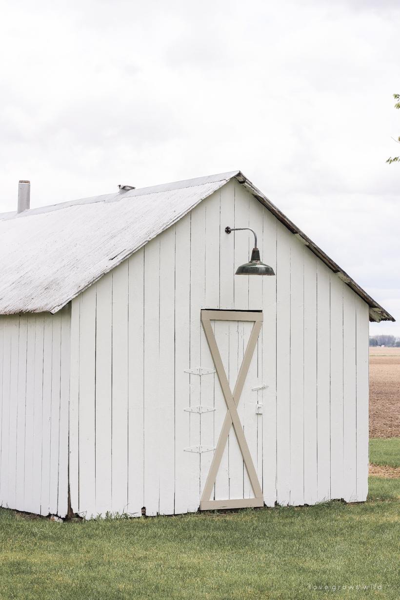 An old barn gets new life with a fresh coat of paint and some added trim details. See more of this gorgeous barn makeover at LoveGrowsWild.com