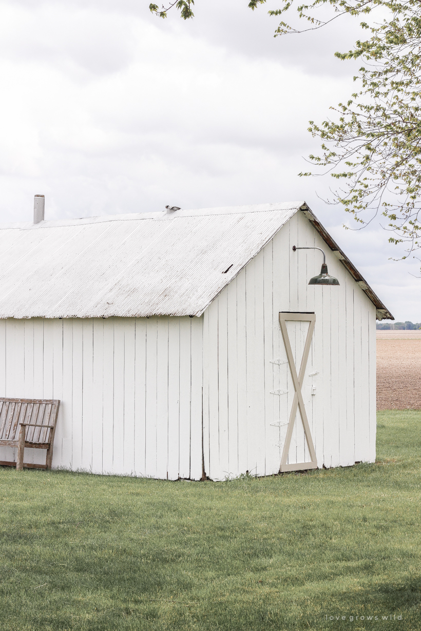 An old barn gets new life with a fresh coat of paint and some added trim details. See more of this gorgeous barn makeover at LoveGrowsWild.com