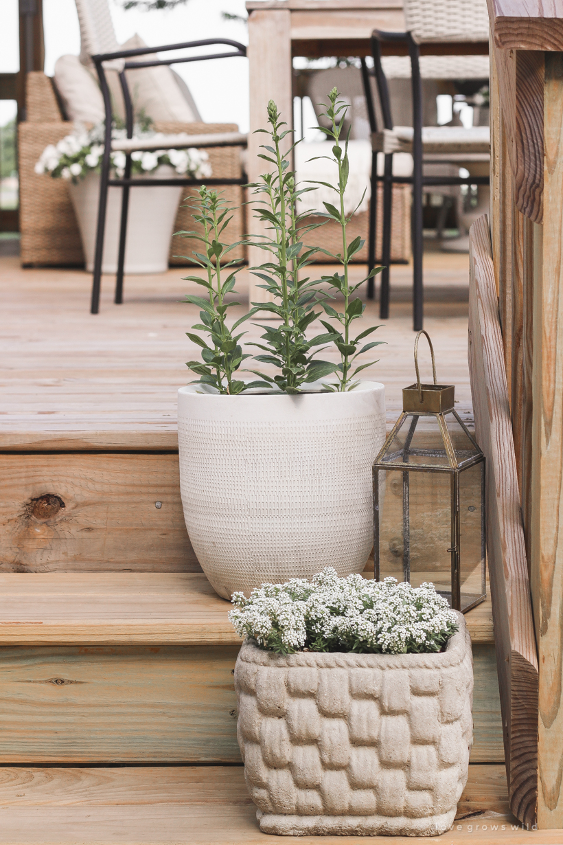 Come see all the details of this beautiful outdoor living space with tons of style and charm at influencer Liz Fourez's Indiana home | lovegrowswild.com