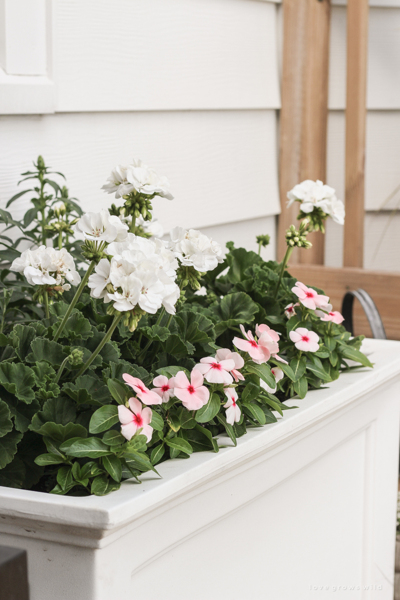 Come see all the details of this beautiful outdoor living space with tons of style and charm at influencer Liz Fourez's Indiana home | lovegrowswild.com