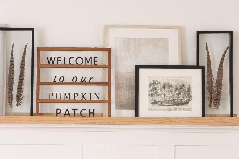 Home blogger and interior decorator Liz Fourez shares warm, subtle touches of fall in her living room