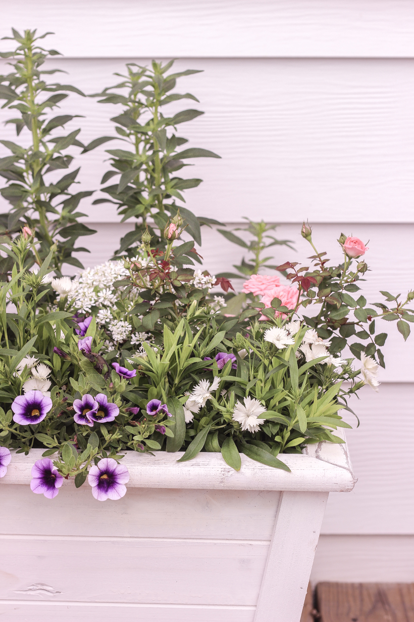 Home blogger and interior decorator Liz Fourez shares her favorite plants and flowers that she planted this year