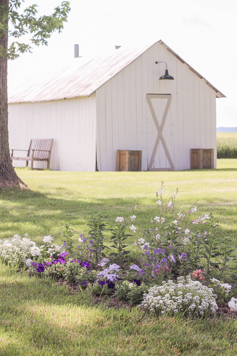 Home blogger and interior decorator Liz Fourez shares her favorite plants and flowers that she planted this year