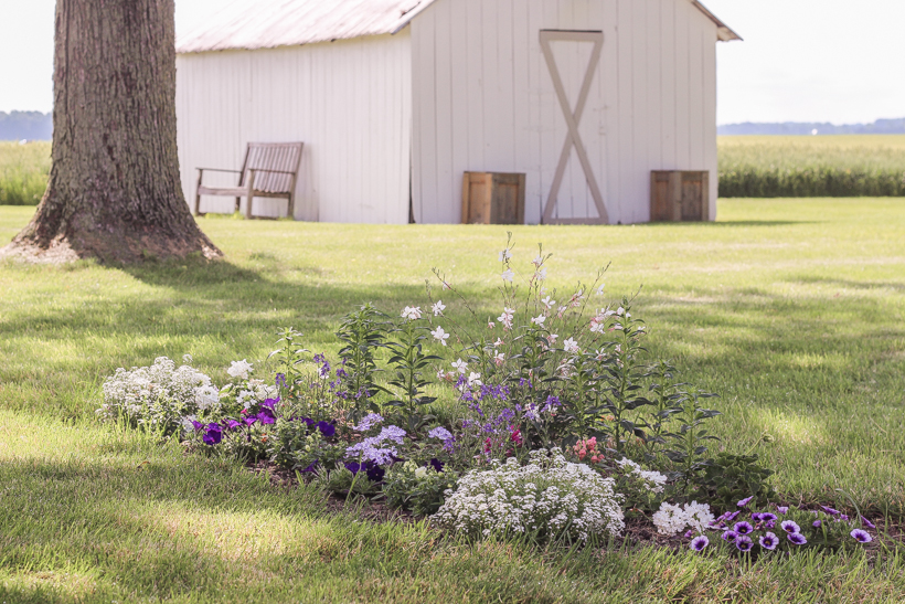 Home blogger and interior decorator Liz Fourez shares her favorite plants and flowers that she planted this year