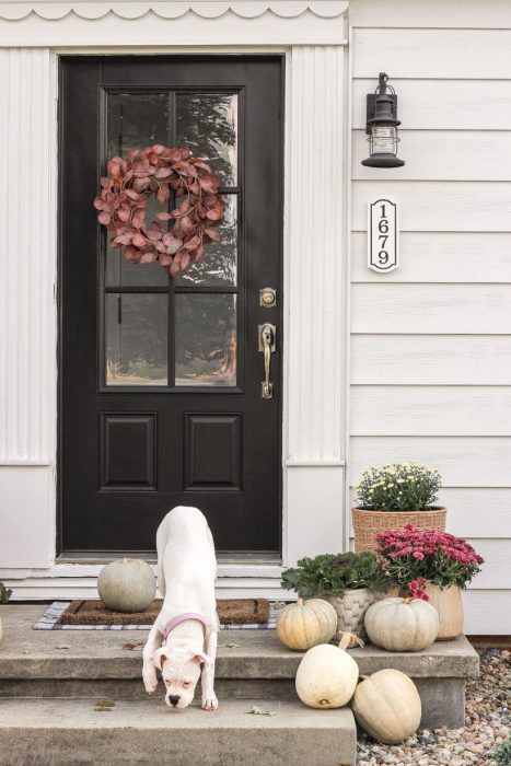 Home blogger and interior decorator Liz Fourez shares her small front porch decorated for fall with the perfect mix of soft neutrals and subtle color.