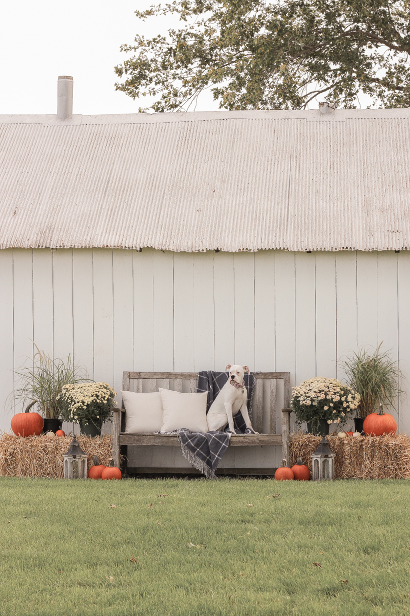 Home blogger and interior decorator Liz Fourez shares easy ideas for outdoor fall decorating on the cutest little barn