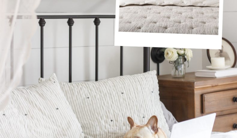 The most popular items from the home of blogger and interior decorator Liz Fourez