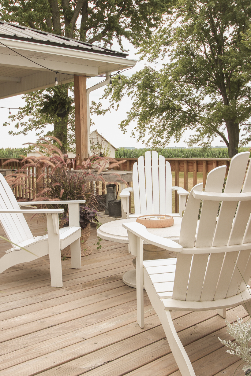 The perfect space for outdoor entertaining from the home of interior decorator Liz Fourez of lovegrowswild.com