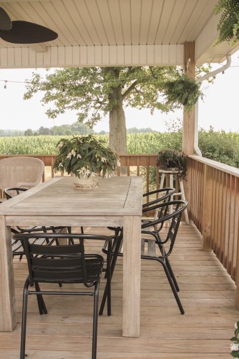 The perfect space for outdoor entertaining from the home of interior decorator Liz Fourez of lovegrowswild.com