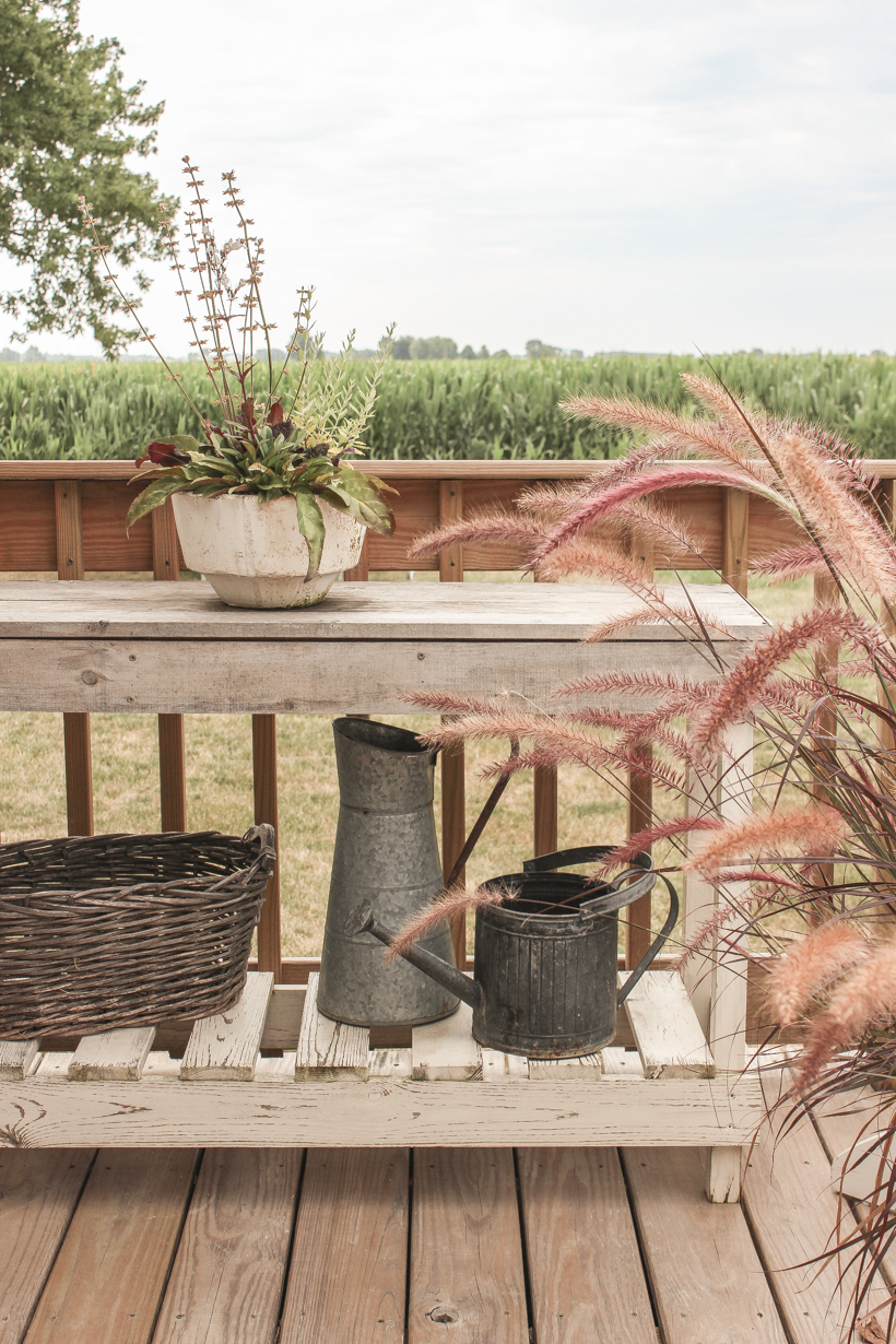 The perfect space for outdoor entertaining from the home of interior decorator Liz Fourez of lovegrowswild.com