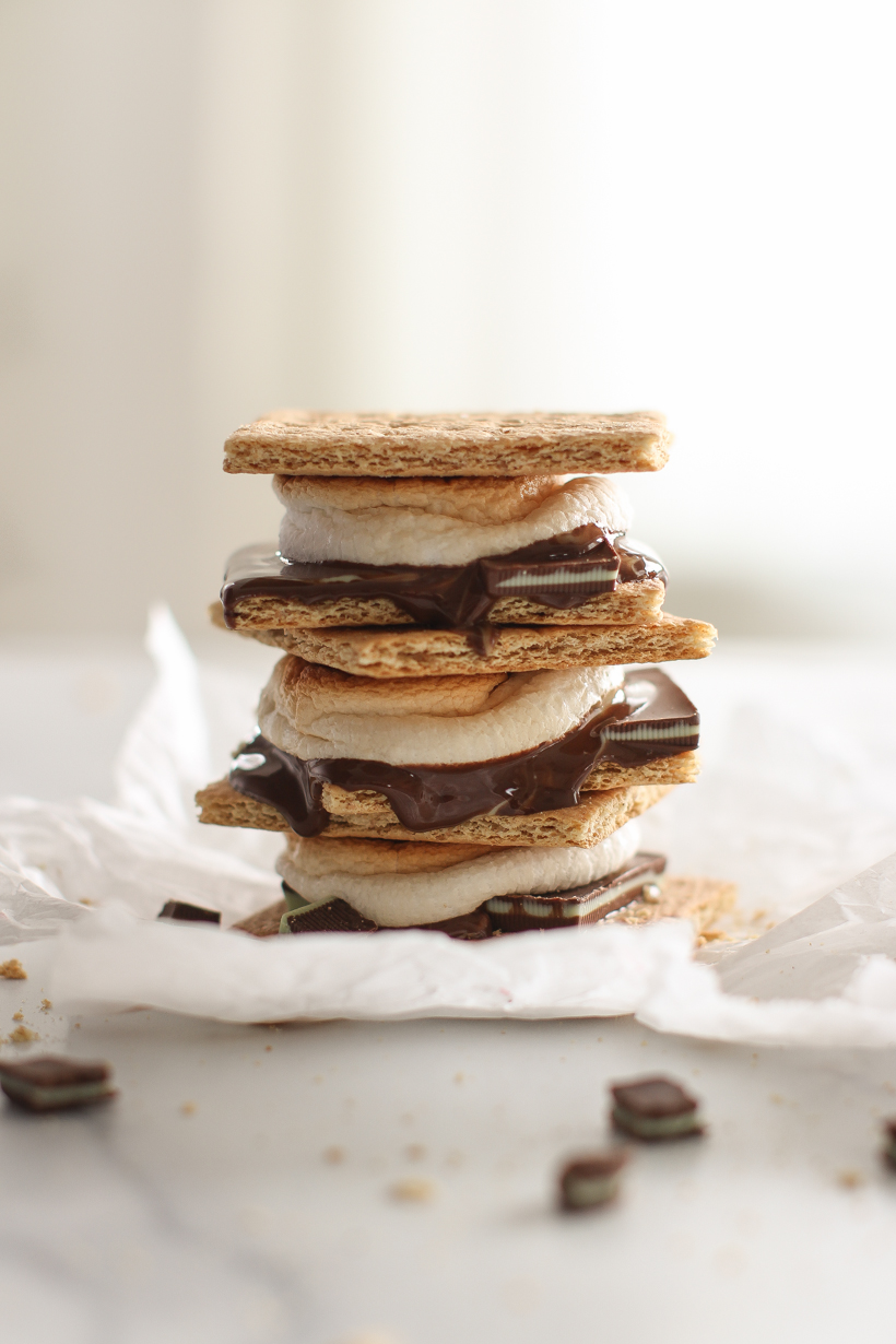 7 S'mores Recipes you have to try + how to roast marshmallows in the oven! Up your s'mores game with these delicious, unique combinations shared by home and lifestyle blogger Liz Fourez 