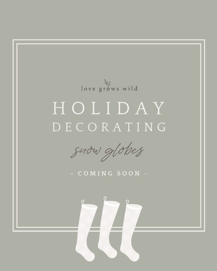 Snow globes for holiday decorating curated by home blogger Liz Fourez