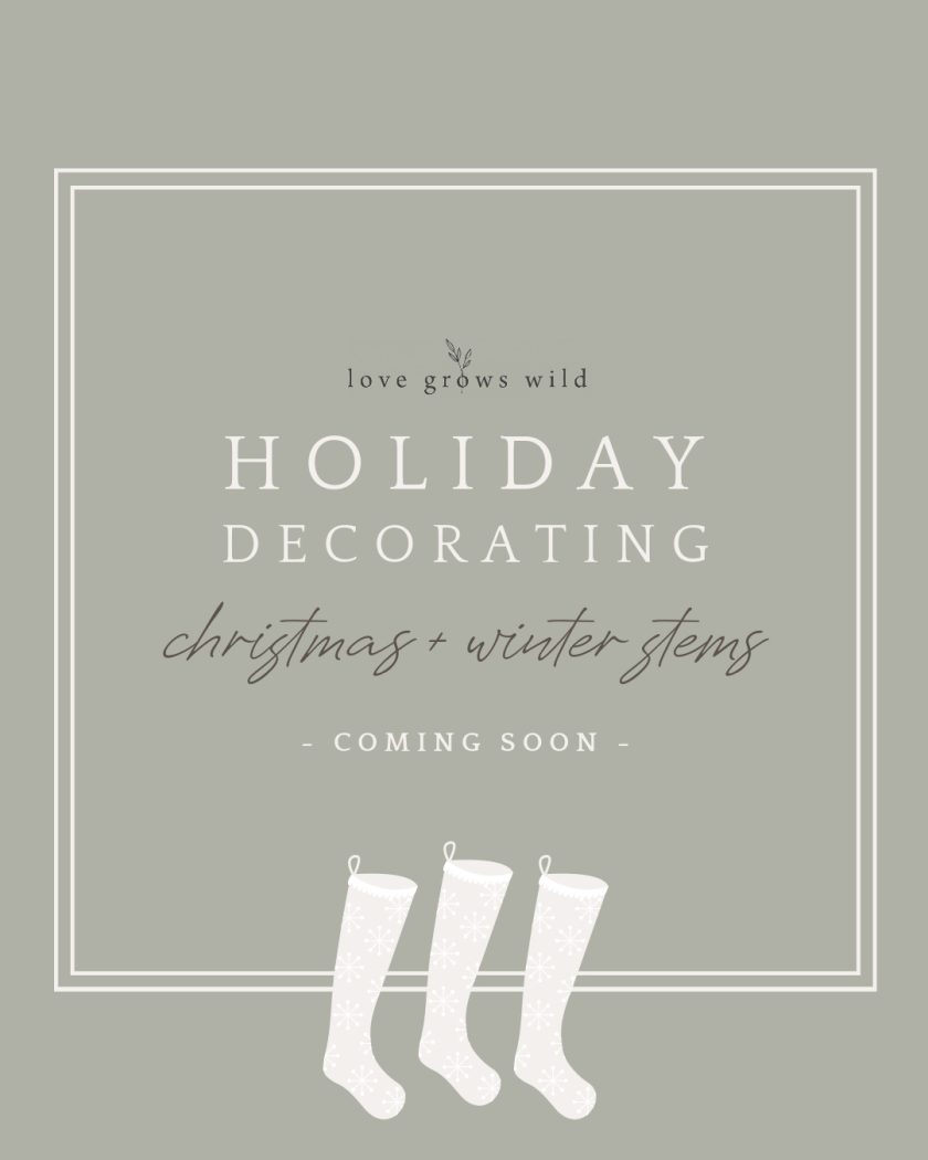 Faux winter stems for holiday decorating curated by home blogger Liz Fourez
