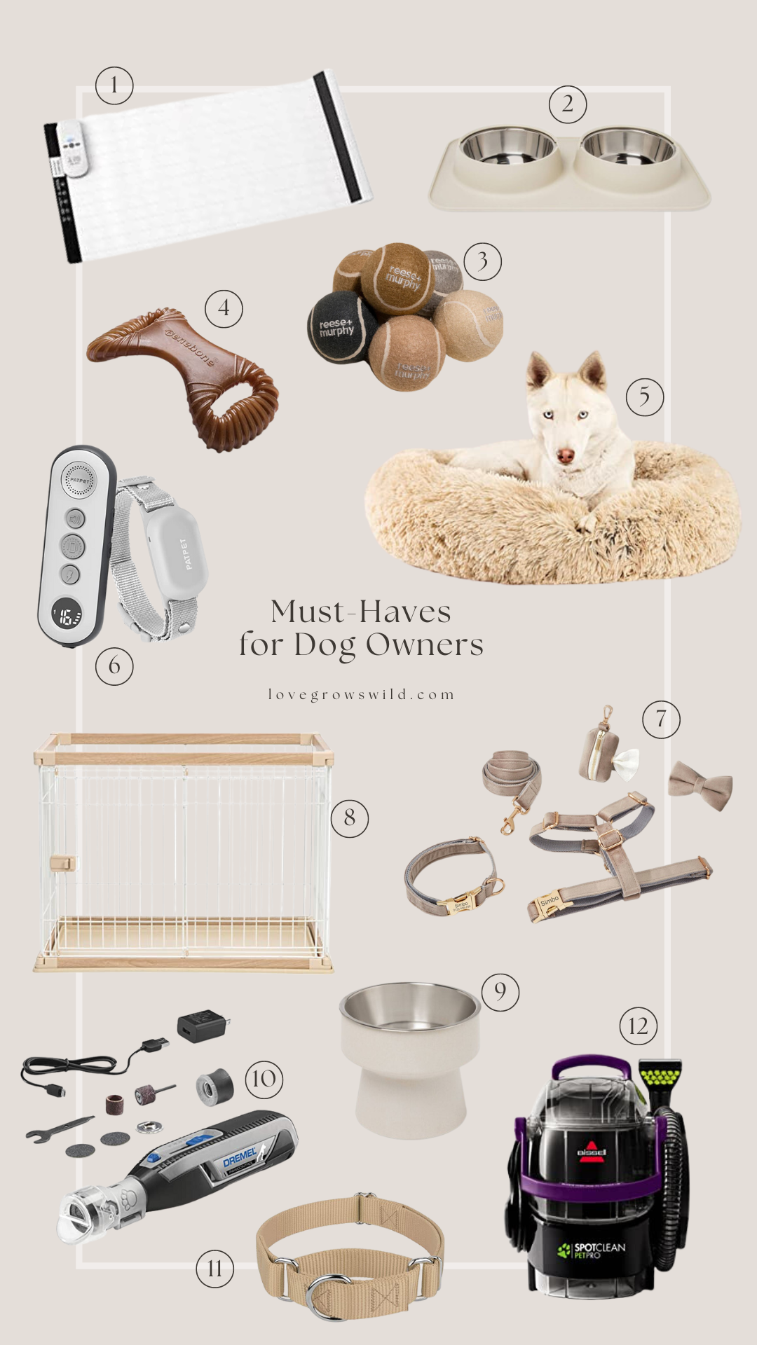 Must-Haves for Dog Owners - Love Grows Wild