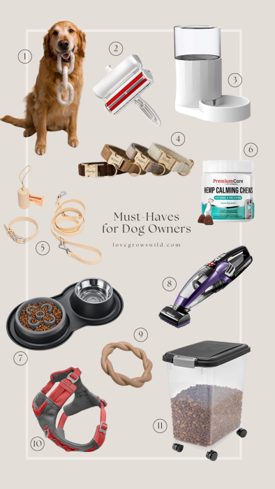 Must-Haves for Dog Owners