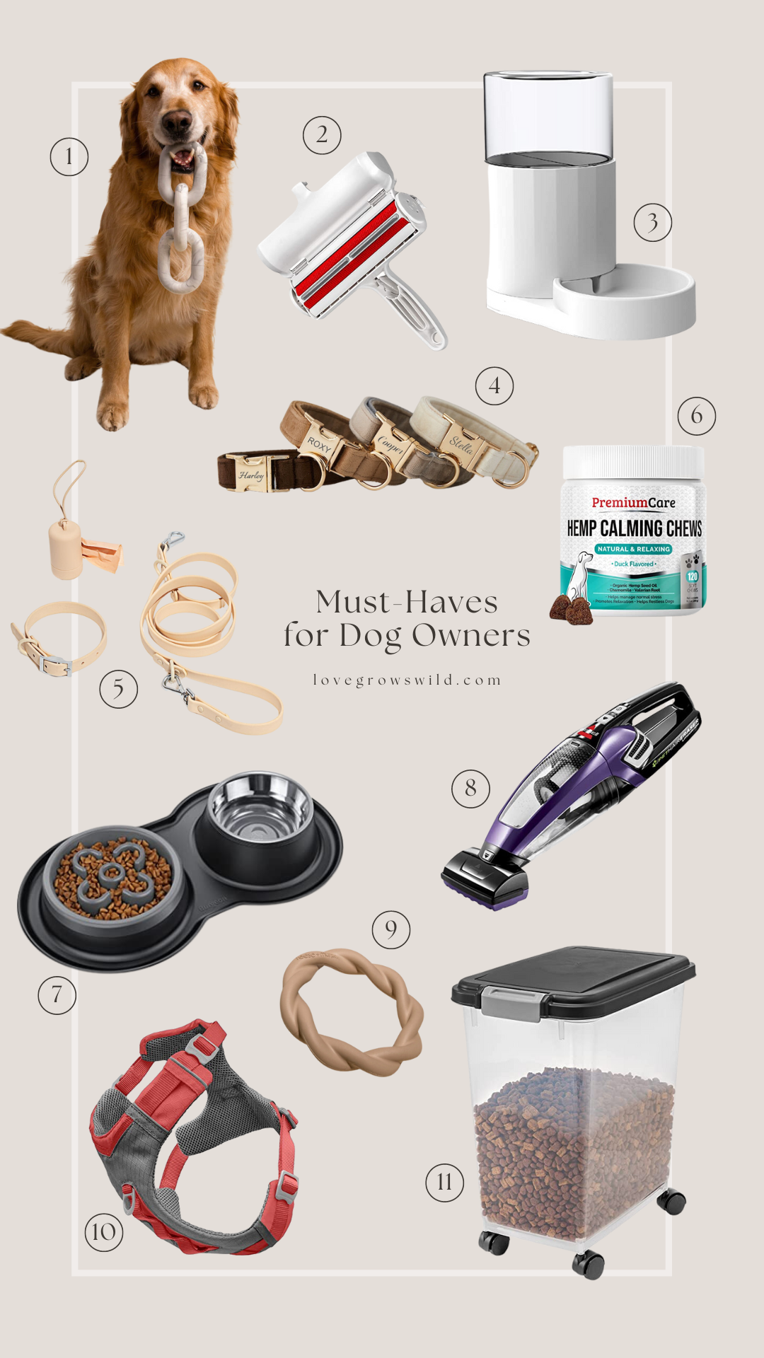 Home Must-Haves For Dog Owners