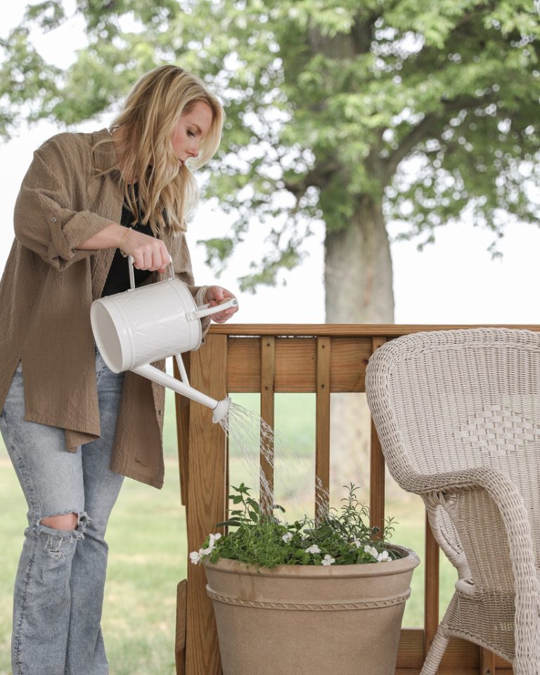 Best Outdoor Watering Cans Love Grows Wild