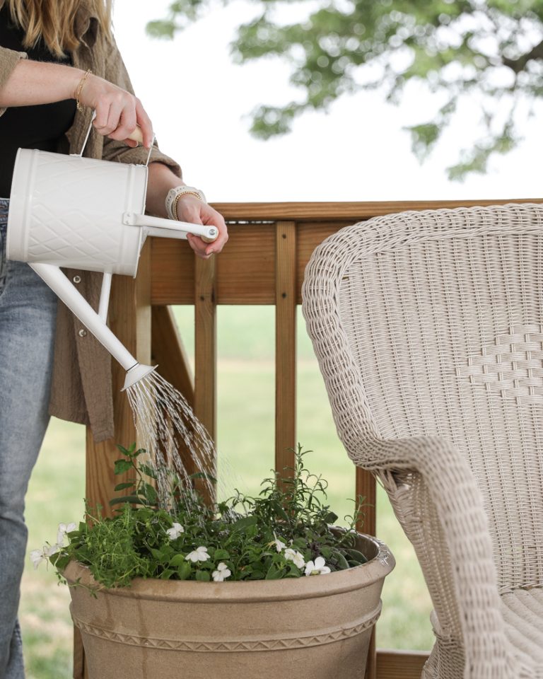 Best Outdoor Watering Cans Love Grows Wild