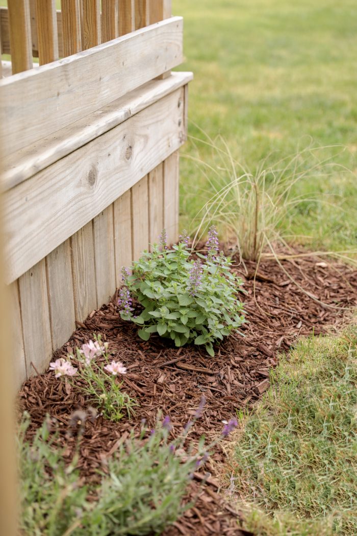 6 Steps to Create a New Flower Bed Love Grows Wild
